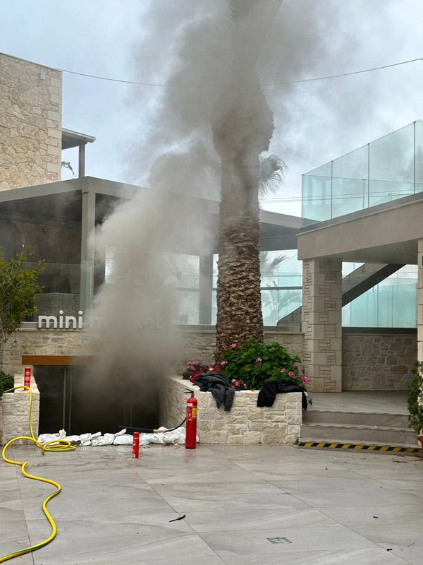 Πραγματογνωμοσύνες